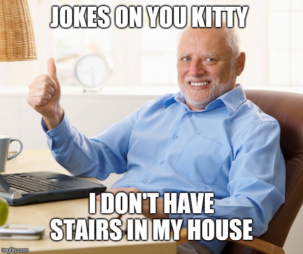 Hide the pain harold | JOKES ON YOU KITTY I DON'T HAVE STAIRS IN MY HOUSE | image tagged in hide the pain harold | made w/ Imgflip meme maker