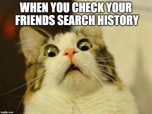 Scared Cat Meme | WHEN YOU CHECK YOUR FRIENDS SEARCH HISTORY | image tagged in memes,scared cat | made w/ Imgflip meme maker