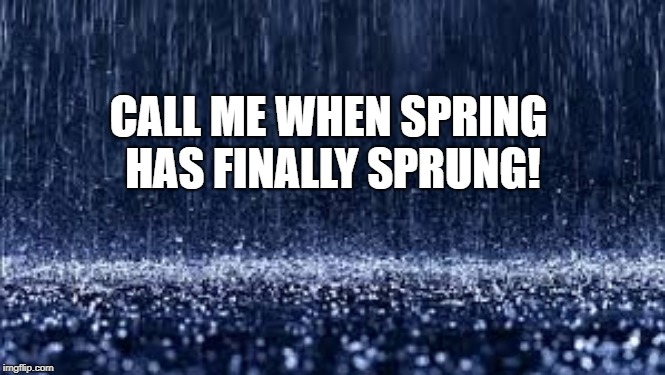 Raining | CALL ME WHEN SPRING HAS FINALLY SPRUNG! | image tagged in raining | made w/ Imgflip meme maker