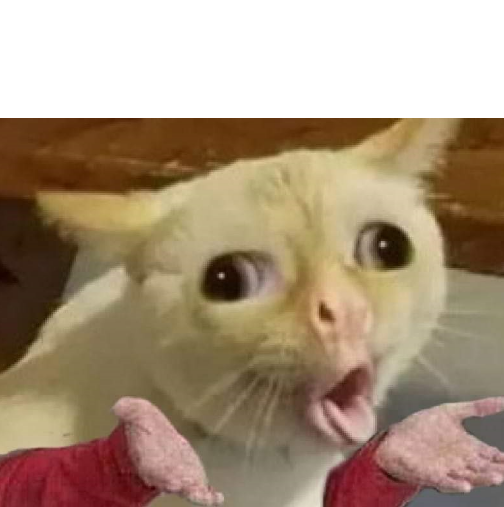 High Quality Coughing cat Blank Meme Template