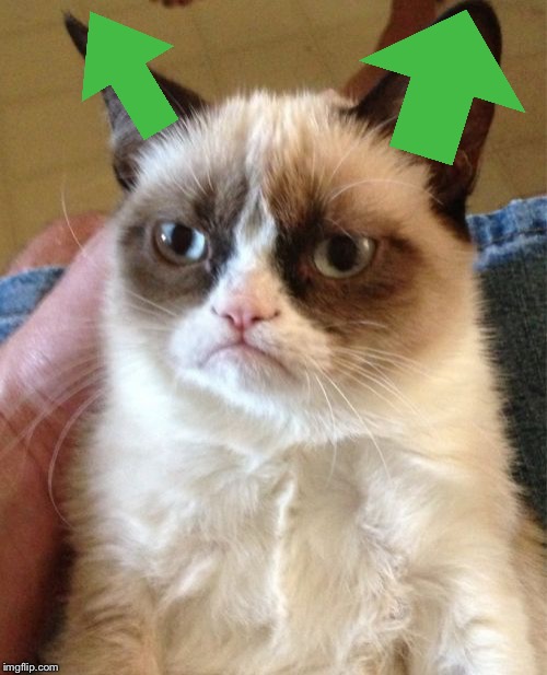 Grumpy Cat Meme | image tagged in memes,grumpy cat | made w/ Imgflip meme maker