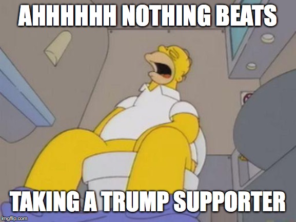 homer simpson toilet | AHHHHHH NOTHING BEATS TAKING A TRUMP SUPPORTER | image tagged in homer simpson toilet | made w/ Imgflip meme maker