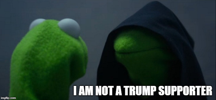 Evil Kermit Meme | I AM NOT A TRUMP SUPPORTER | image tagged in memes,evil kermit | made w/ Imgflip meme maker