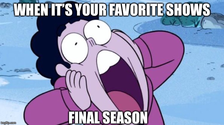 Steven Universe NOOO | WHEN IT’S YOUR FAVORITE SHOWS; FINAL SEASON | image tagged in steven universe nooo | made w/ Imgflip meme maker