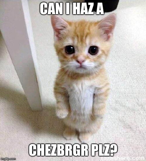Cute Cat | CAN I HAZ A; CHEZBRGR PLZ? | image tagged in memes,cute cat | made w/ Imgflip meme maker