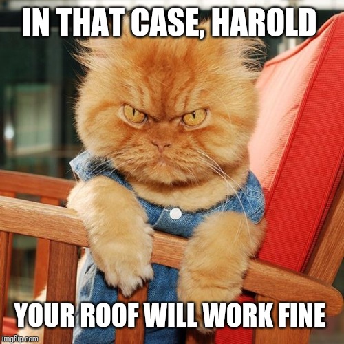 Garfi The Angry Cat | IN THAT CASE, HAROLD YOUR ROOF WILL WORK FINE | image tagged in garfi the angry cat | made w/ Imgflip meme maker
