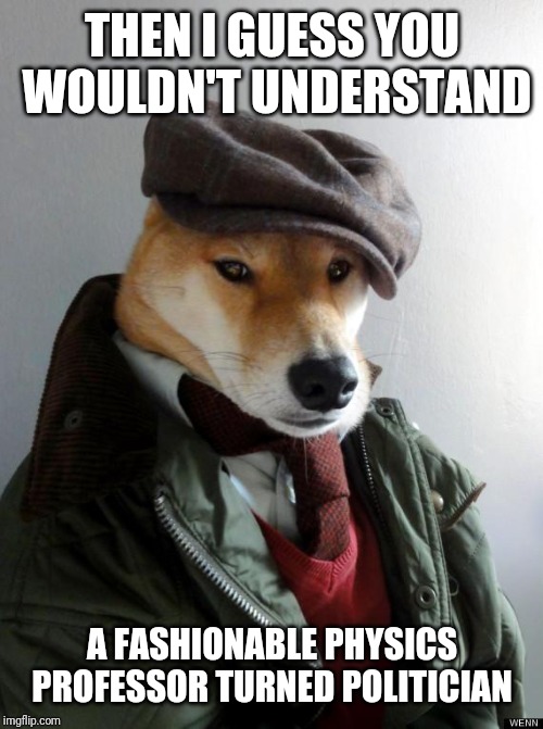 Professor Doge | THEN I GUESS YOU WOULDN'T UNDERSTAND A FASHIONABLE PHYSICS PROFESSOR TURNED POLITICIAN | image tagged in professor doge | made w/ Imgflip meme maker
