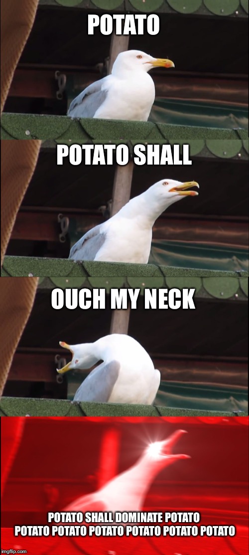 Inhaling Seagull | POTATO; POTATO SHALL; OUCH MY NECK; POTATO SHALL DOMINATE POTATO POTATO POTATO POTATO POTATO POTATO POTATO | image tagged in memes,inhaling seagull | made w/ Imgflip meme maker