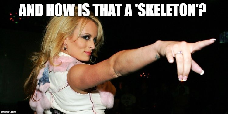 Stormy Daniels | AND HOW IS THAT A 'SKELETON'? | image tagged in stormy daniels | made w/ Imgflip meme maker