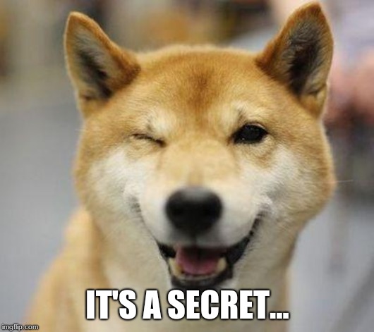 wink doge | IT'S A SECRET... | image tagged in wink doge | made w/ Imgflip meme maker