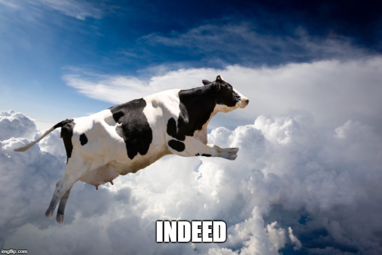 INDEED | made w/ Imgflip meme maker