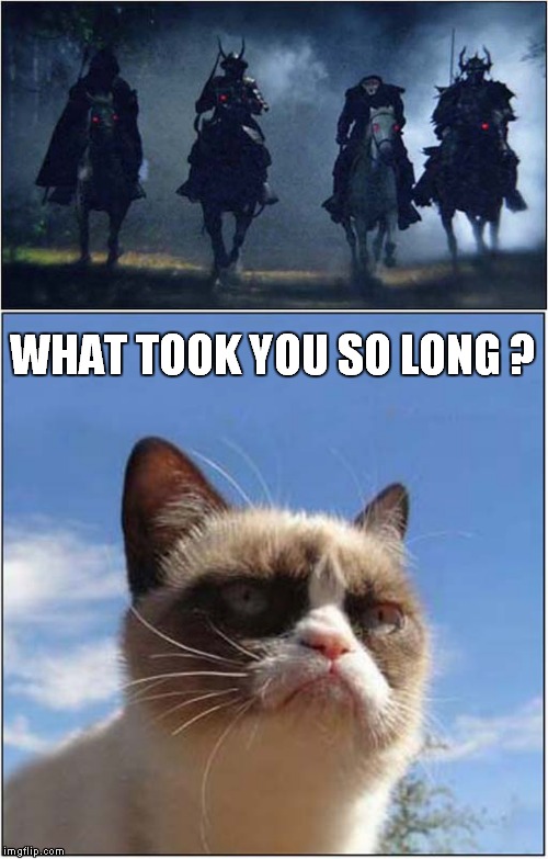 Grumpy awaits The Four Horsemen of the Apocalypse | WHAT TOOK YOU SO LONG ? | image tagged in grumpy cat,cats | made w/ Imgflip meme maker