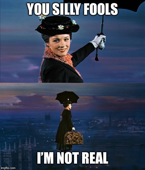 Mary Poppins Leaving | YOU SILLY FOOLS I’M NOT REAL | image tagged in mary poppins leaving | made w/ Imgflip meme maker