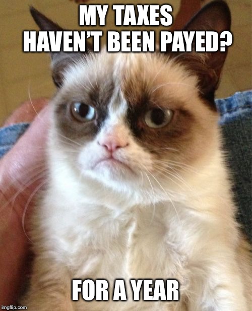 Grumpy Cat | MY TAXES HAVEN’T BEEN PAYED? FOR A YEAR | image tagged in memes,grumpy cat | made w/ Imgflip meme maker