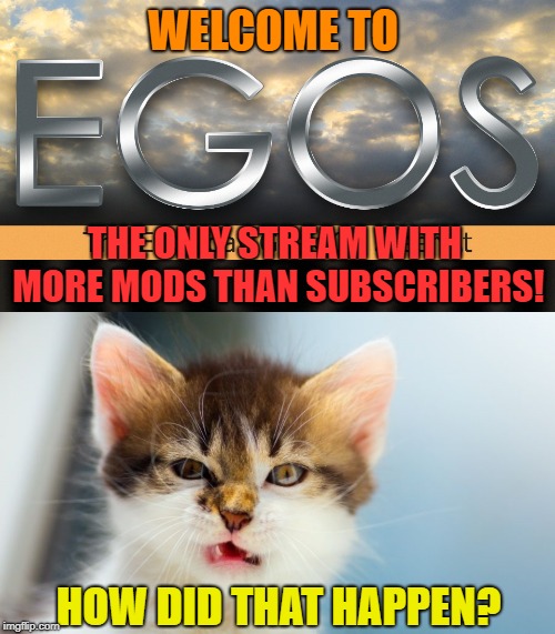 Our stream, it's... special | WELCOME TO; THE ONLY STREAM WITH MORE MODS THAN SUBSCRIBERS! HOW DID THAT HAPPEN? | image tagged in i can has aspergers,egos logo,stream,mods | made w/ Imgflip meme maker