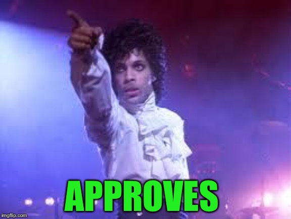 Prince | APPROVES | image tagged in prince | made w/ Imgflip meme maker