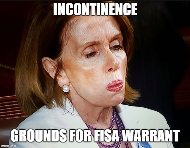 Nancy Pelosi PB Sandwich | INCONTINENCE; GROUNDS FOR FISA WARRANT | image tagged in nancy pelosi pb sandwich | made w/ Imgflip meme maker
