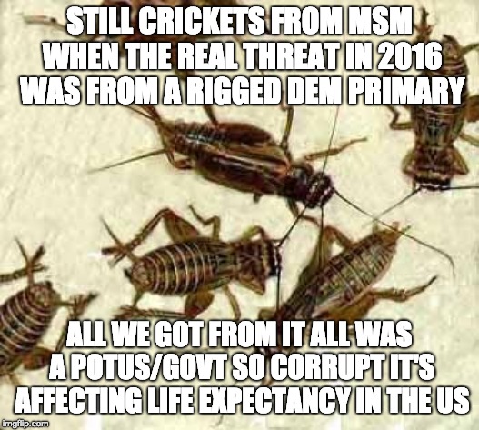 Crickets | STILL CRICKETS FROM MSM WHEN THE REAL THREAT IN 2016 WAS FROM A RIGGED DEM PRIMARY; ALL WE GOT FROM IT ALL WAS A POTUS/GOVT SO CORRUPT IT'S AFFECTING LIFE EXPECTANCY IN THE US | image tagged in crickets | made w/ Imgflip meme maker