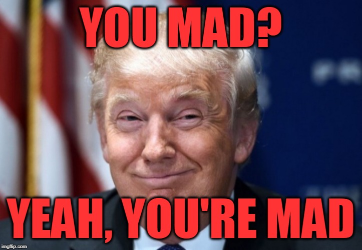 donald trump | YOU MAD? YEAH, YOU'RE MAD | image tagged in donald trump | made w/ Imgflip meme maker