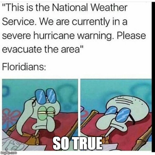 No title needed | SO TRUE | image tagged in florida,meanwhile in florida | made w/ Imgflip meme maker