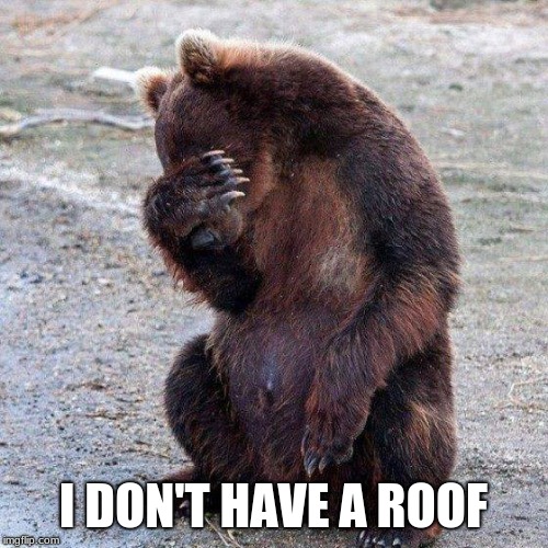 Poor animals | I DON'T HAVE A ROOF | image tagged in poor animals | made w/ Imgflip meme maker