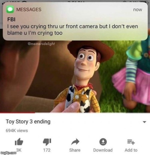 So sad | image tagged in woody | made w/ Imgflip meme maker