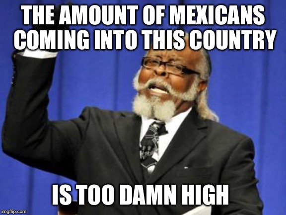 Too Damn High |  THE AMOUNT OF MEXICANS COMING INTO THIS COUNTRY; IS TOO DAMN HIGH | image tagged in memes,too damn high | made w/ Imgflip meme maker