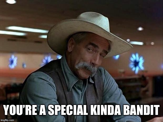 special kind of stupid | YOU’RE A SPECIAL KINDA BANDIT | image tagged in special kind of stupid | made w/ Imgflip meme maker