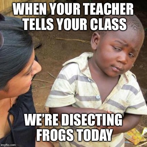 Third World Skeptical Kid | WHEN YOUR TEACHER TELLS YOUR CLASSMATES; WE’RE DISECTING FROGS TODAY | image tagged in memes,third world skeptical kid | made w/ Imgflip meme maker