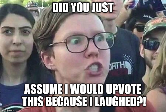 Triggered Liberal | DID YOU JUST ASSUME I WOULD UPVOTE THIS BECAUSE I LAUGHED?! | image tagged in triggered liberal | made w/ Imgflip meme maker