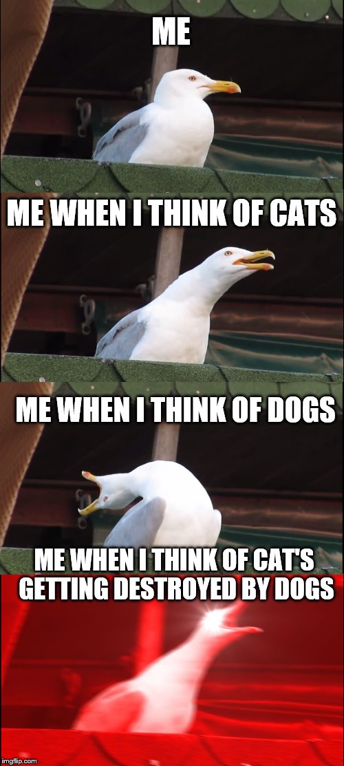 Inhaling Seagull | ME; ME WHEN I THINK OF CATS; ME WHEN I THINK OF DOGS; ME WHEN I THINK OF CAT'S GETTING DESTROYED BY DOGS | image tagged in memes,inhaling seagull | made w/ Imgflip meme maker