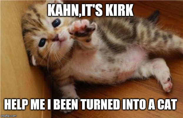 Help Me Kitten | KAHN,IT'S KIRK HELP ME I BEEN TURNED INTO A CAT | image tagged in help me kitten | made w/ Imgflip meme maker