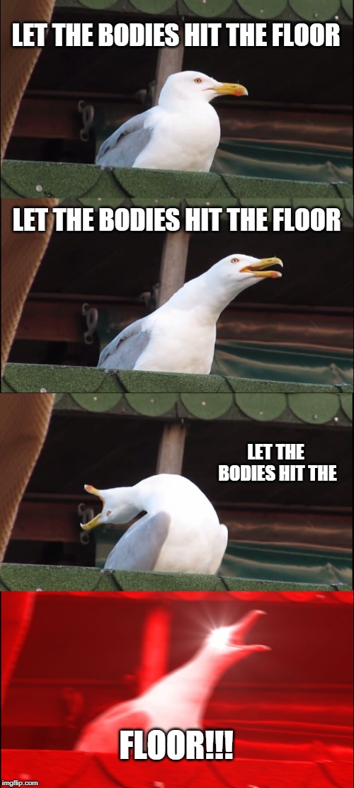 Inhaling Seagull Meme | LET THE BODIES HIT THE FLOOR; LET THE BODIES HIT THE FLOOR; LET THE BODIES HIT THE; FLOOR!!! | image tagged in memes,inhaling seagull,song lyrics | made w/ Imgflip meme maker