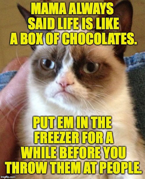 Grumpy Cat Meme | MAMA ALWAYS SAID LIFE IS LIKE A BOX OF CHOCOLATES. PUT EM IN THE FREEZER FOR A WHILE BEFORE YOU THROW THEM AT PEOPLE. | image tagged in memes,grumpy cat | made w/ Imgflip meme maker