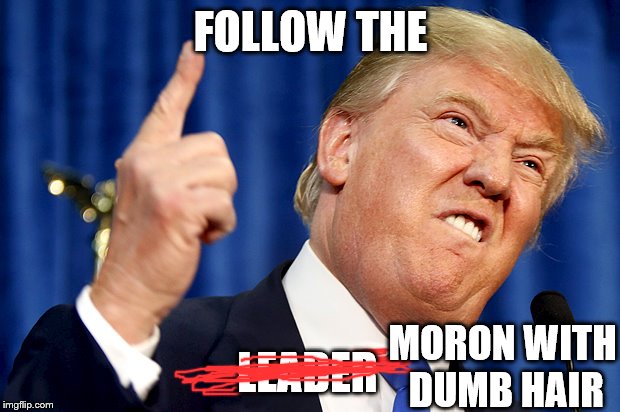 Donald Trump | FOLLOW THE LEADER MORON WITH DUMB HAIR | image tagged in donald trump | made w/ Imgflip meme maker