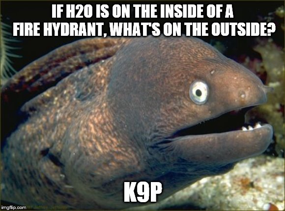 Bad Joke Eel | IF H2O IS ON THE INSIDE OF A FIRE HYDRANT, WHAT'S ON THE OUTSIDE? K9P | image tagged in memes,bad joke eel | made w/ Imgflip meme maker