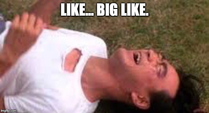 Big Like | LIKE... BIG LIKE. | image tagged in long duck dong,like,big like | made w/ Imgflip meme maker