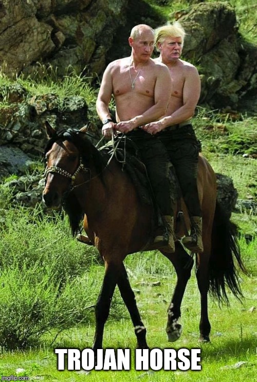Trump Putin | TROJAN HORSE | image tagged in trump putin | made w/ Imgflip meme maker
