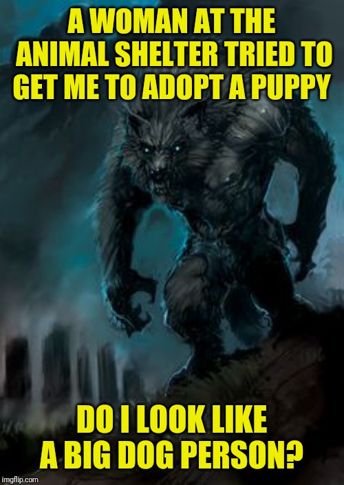 Werewolf Having Identity Crisis |  A WOMAN AT THE ANIMAL SHELTER TRIED TO GET ME TO ADOPT A PUPPY; DO I LOOK LIKE A BIG DOG PERSON? | image tagged in werewolf,memes,bad pun dog,full moon,boardroom meeting suggestion,a mythical tag | made w/ Imgflip meme maker