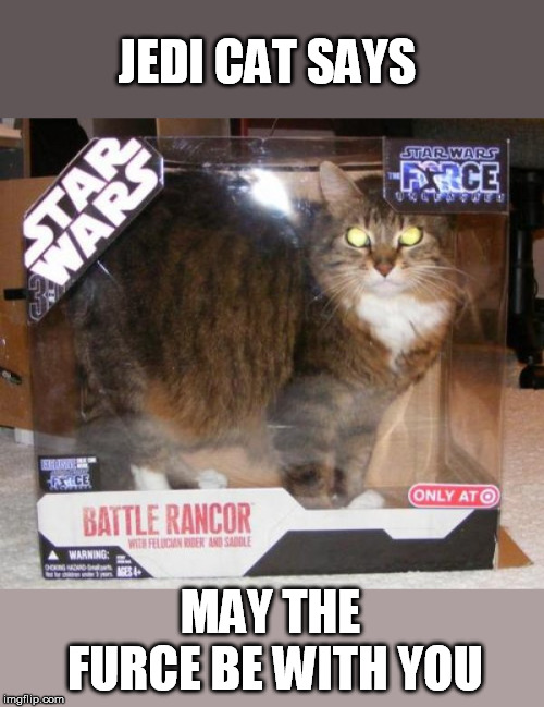 JEDI CAT SAYS MAY THE FURCE BE WITH YOU | made w/ Imgflip meme maker