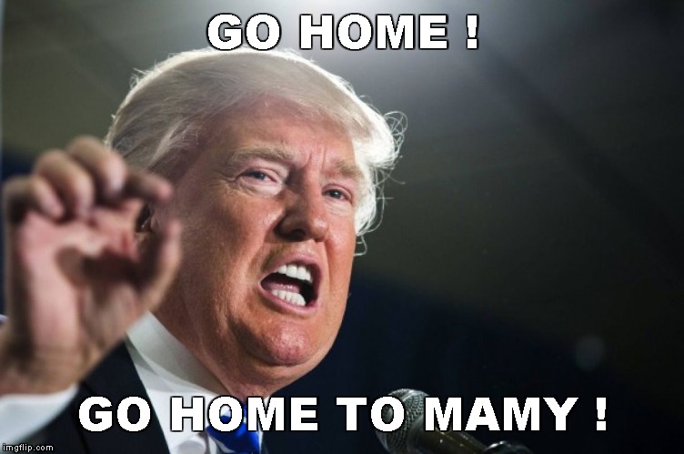 donald trump | GO HOME ! GO HOME TO MAMY ! | image tagged in donald trump | made w/ Imgflip meme maker
