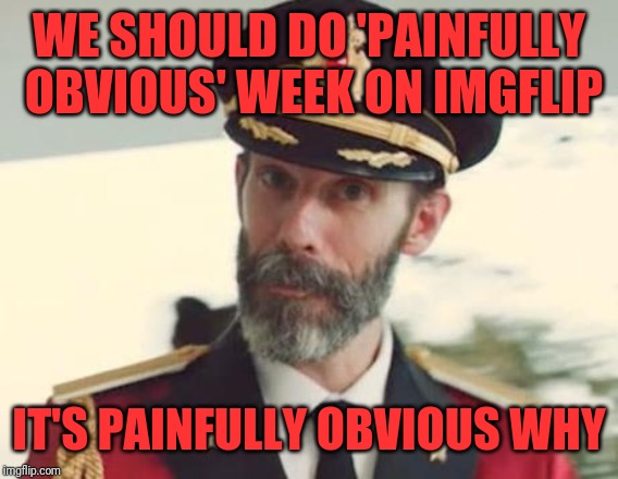 Captain Obvious | WE SHOULD DO 'PAINFULLY OBVIOUS' WEEK ON IMGFLIP; IT'S PAINFULLY OBVIOUS WHY | image tagged in captain obvious | made w/ Imgflip meme maker