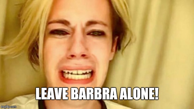 Leave Barbra Alone! |  LEAVE BARBRA ALONE! | image tagged in leave brittany alone,memes | made w/ Imgflip meme maker