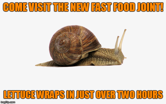 snail meme