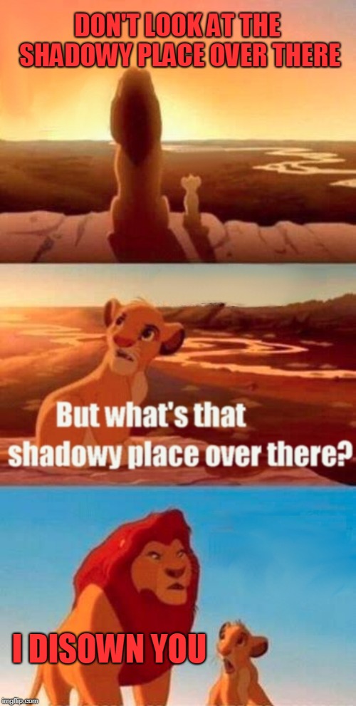 Simba Shadowy Place | DON'T LOOK AT THE SHADOWY PLACE OVER THERE; I DISOWN YOU | image tagged in memes,simba shadowy place | made w/ Imgflip meme maker