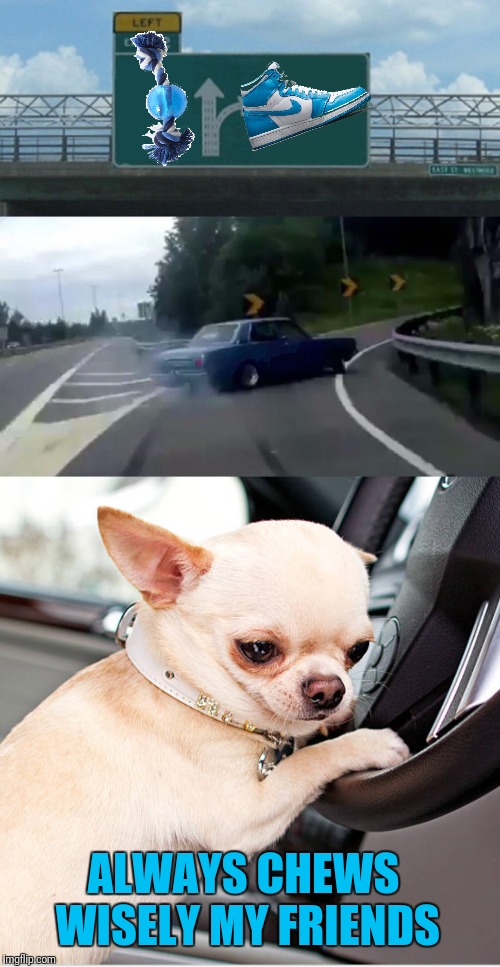 Go for the shoe, the more expensive,  the tastier | ALWAYS CHEWS WISELY MY FRIENDS | image tagged in memes,left exit 12 off ramp,dog | made w/ Imgflip meme maker