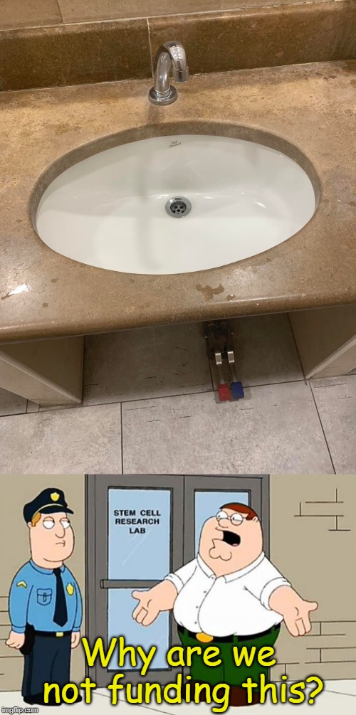 We all need this. | Why are we not funding this? | image tagged in why are we not funding this,footpedal sink,bathroom,bathroom humor | made w/ Imgflip meme maker
