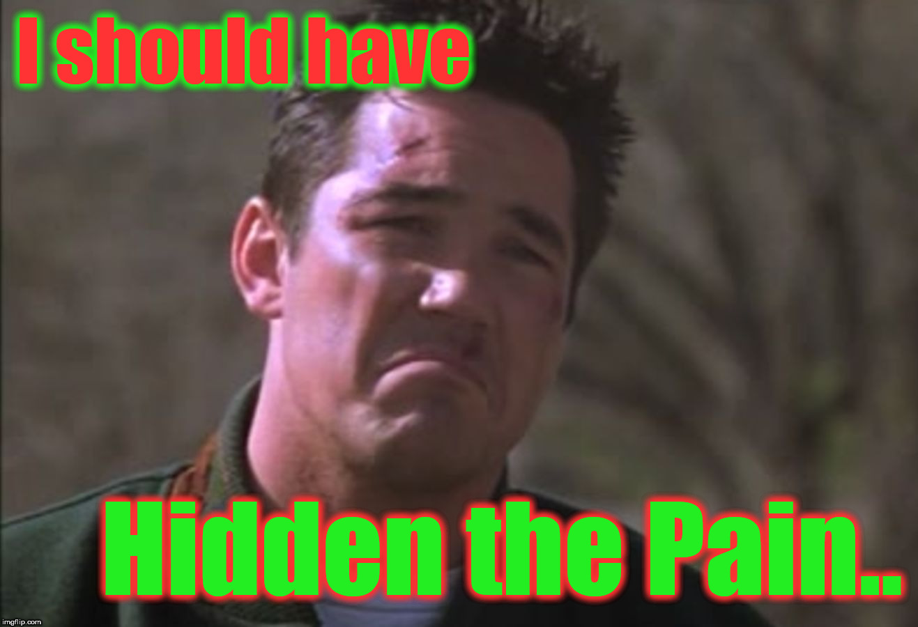 I should have Hidden the Pain.. | made w/ Imgflip meme maker