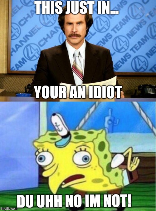 THIS JUST IN... YOUR AN IDIOT; DU UHH NO IM NOT! | image tagged in breaking news,memes,mocking spongebob | made w/ Imgflip meme maker