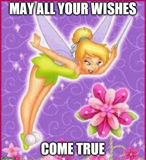tinkerbell | MAY ALL YOUR WISHES COME TRUE | image tagged in tinkerbell | made w/ Imgflip meme maker